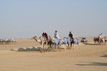 Desert Safari for Families: How to Make the Most of Your Adventure in Abu Dhabi