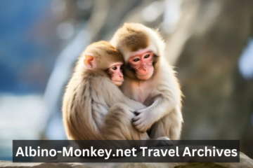 Albino-Monkey.net Travel Archives