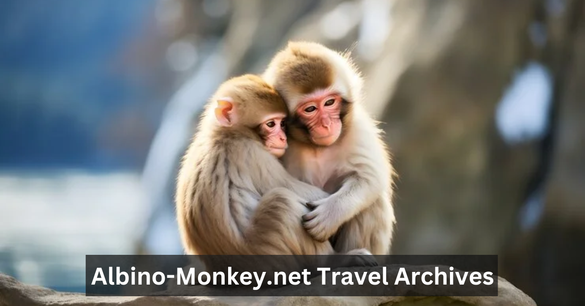 Albino-Monkey.net Travel Archives