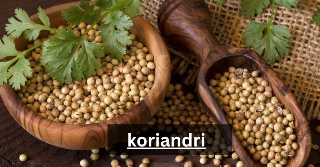 koriandri