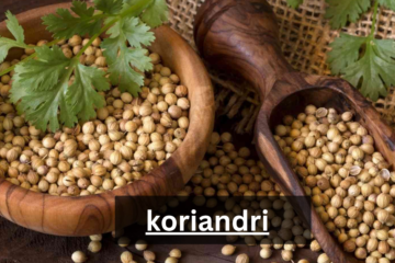 koriandri